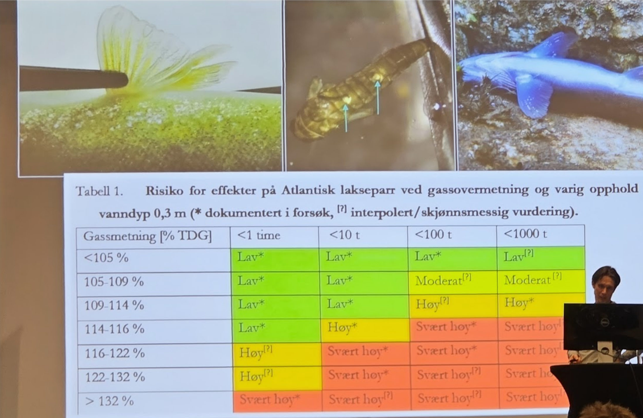 Effects of gas saturation above 120%